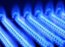 Photograph of blue natural gas flames